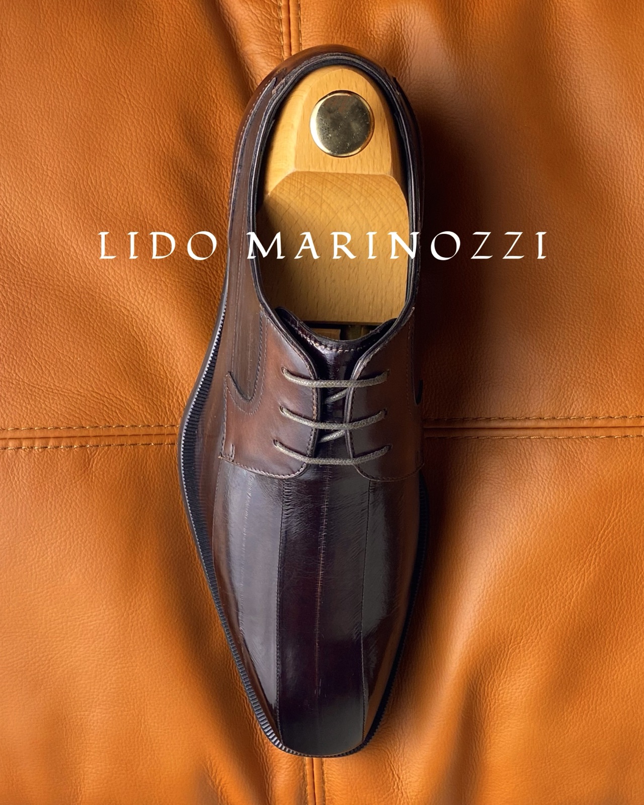 Dress shoes collection